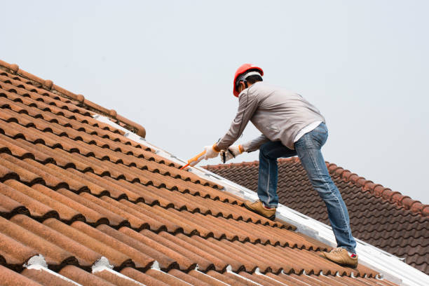 Best Metal Roofing Installation  in Marks, MS